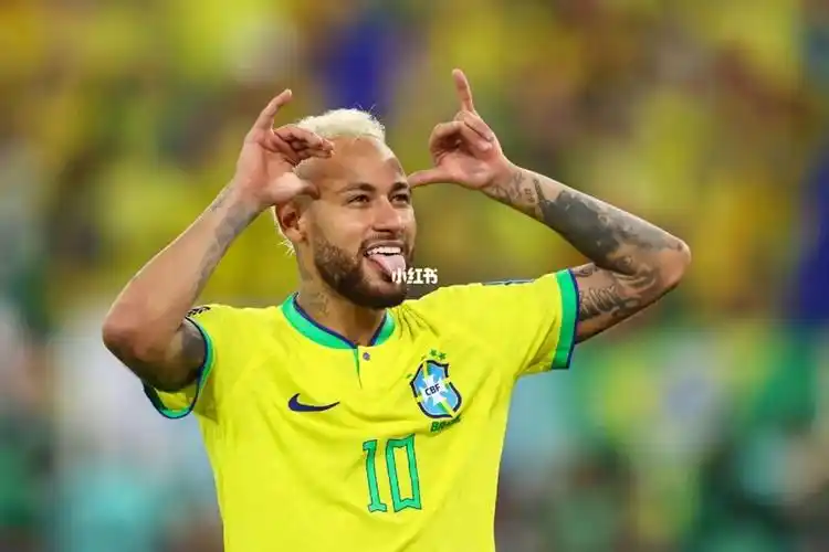 鋒萊昂納多 鋒萊昂納多